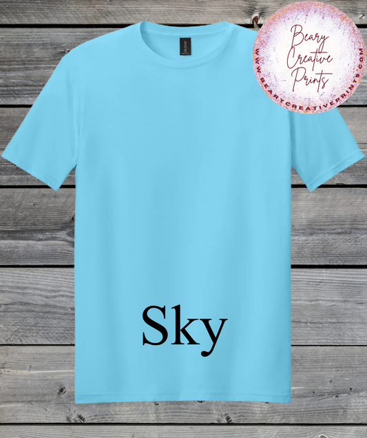 Sky- Gildan Softstyle